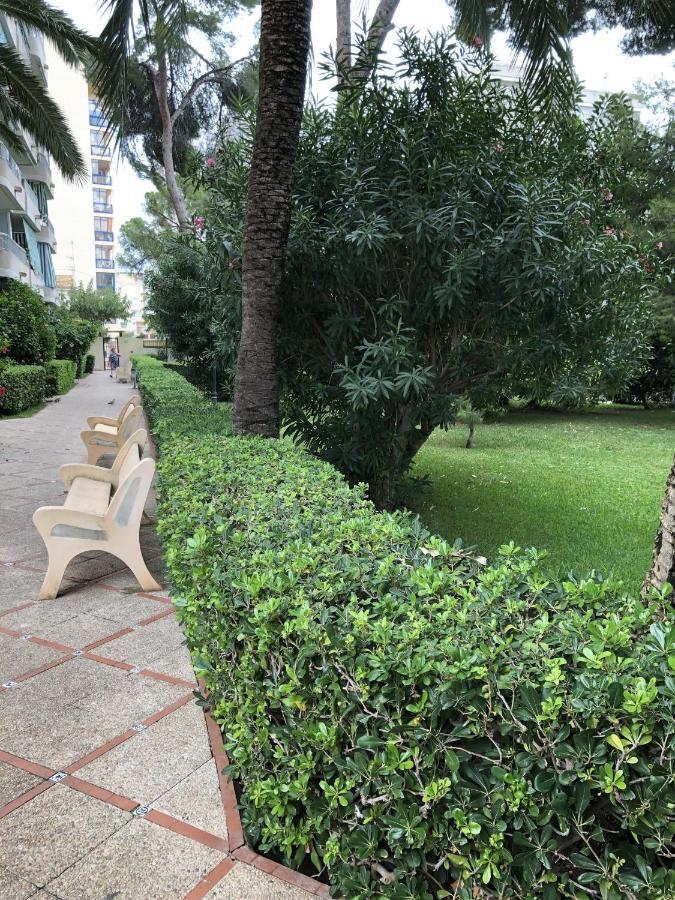 Apartamento Parque 2 Playa De Gandia Εξωτερικό φωτογραφία