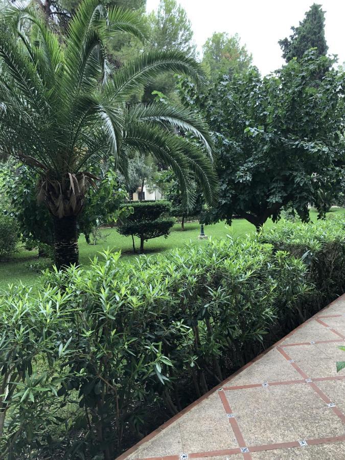 Apartamento Parque 2 Playa De Gandia Εξωτερικό φωτογραφία